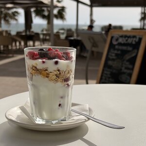 Yoghurt Cup